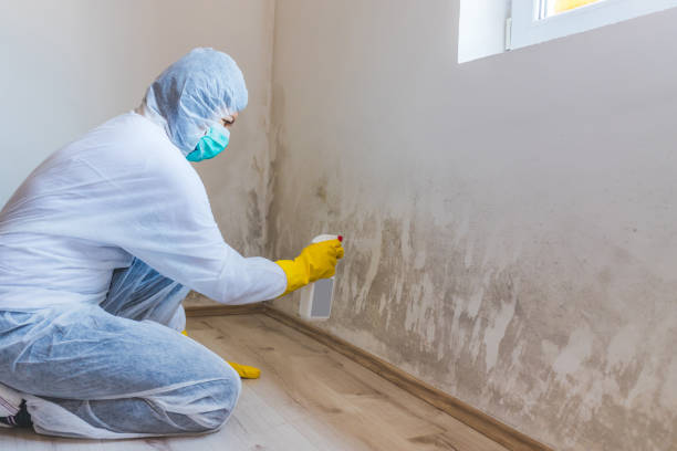 Licensed Mold Cleanup service in Warfield, VA - WQB Mold Removal
