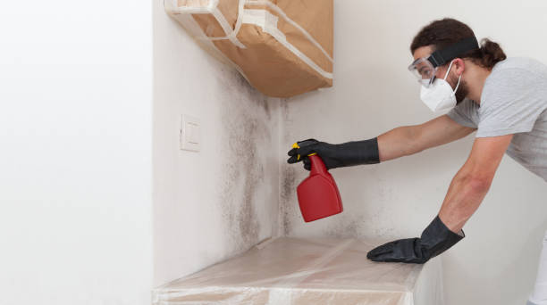 Professional Mold Cleanup technician working in Warfield, VA