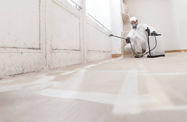 24/7 Emergency Mold Cleanup experts in Warfield, VA