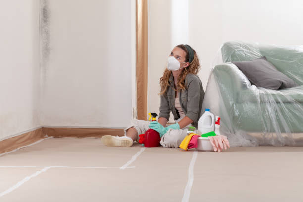 Reliable Mold Cleanup contractor in Warfield, VA by WQB Mold Removal
