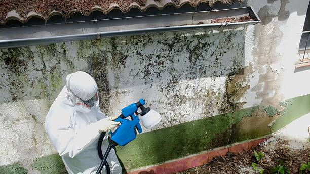 Top rated local Mold Cleanup specialists in Warfield, VA